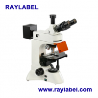 Fluorescence microscope RAY-100YG